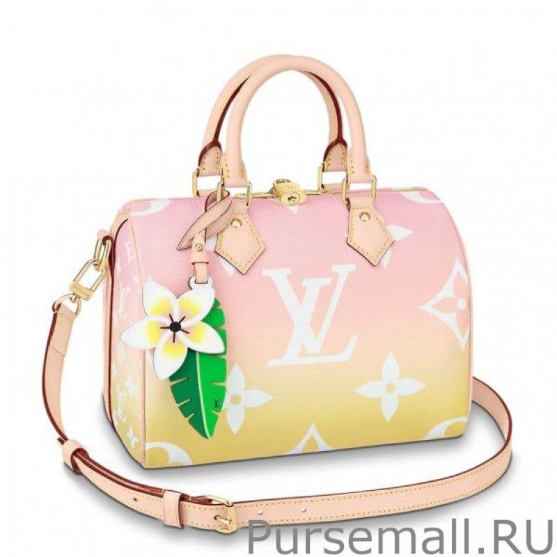 Speedy Bandoulie 25 Bag Monogram Giant M45724