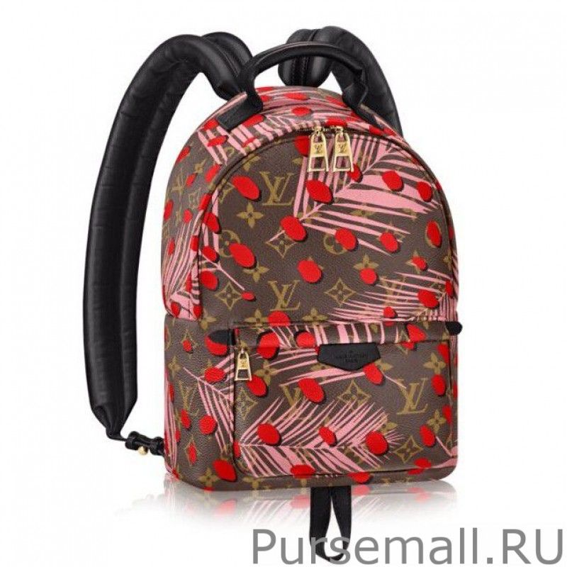 Palm Springs Backpack PM M41981