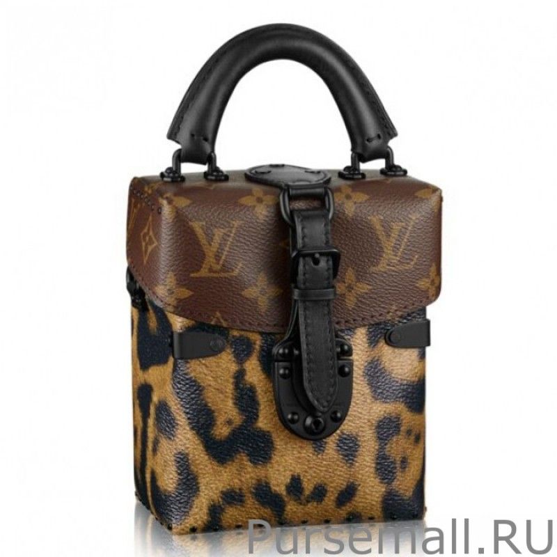 Camera Box Monogram Printed Bag M43001