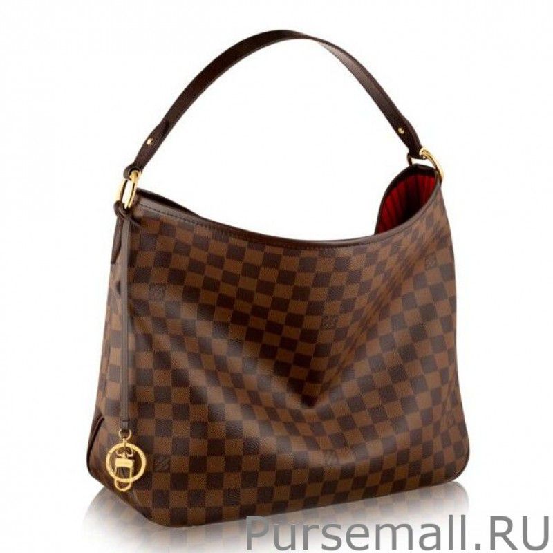Delightful PM Damier Ebene Canvas N41459