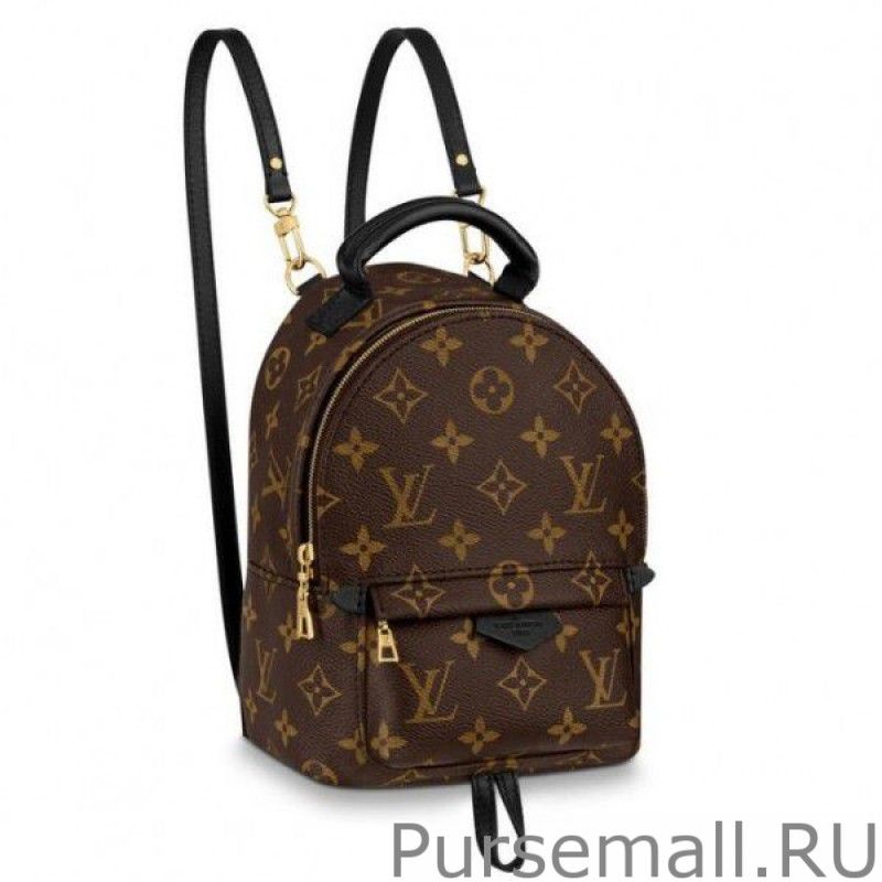 Mini Palm Springs Backpack M44873