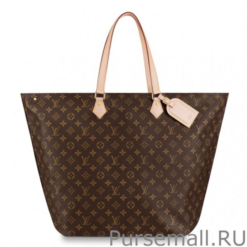 ALL-IN GM Bag Monogram Canvas M43893